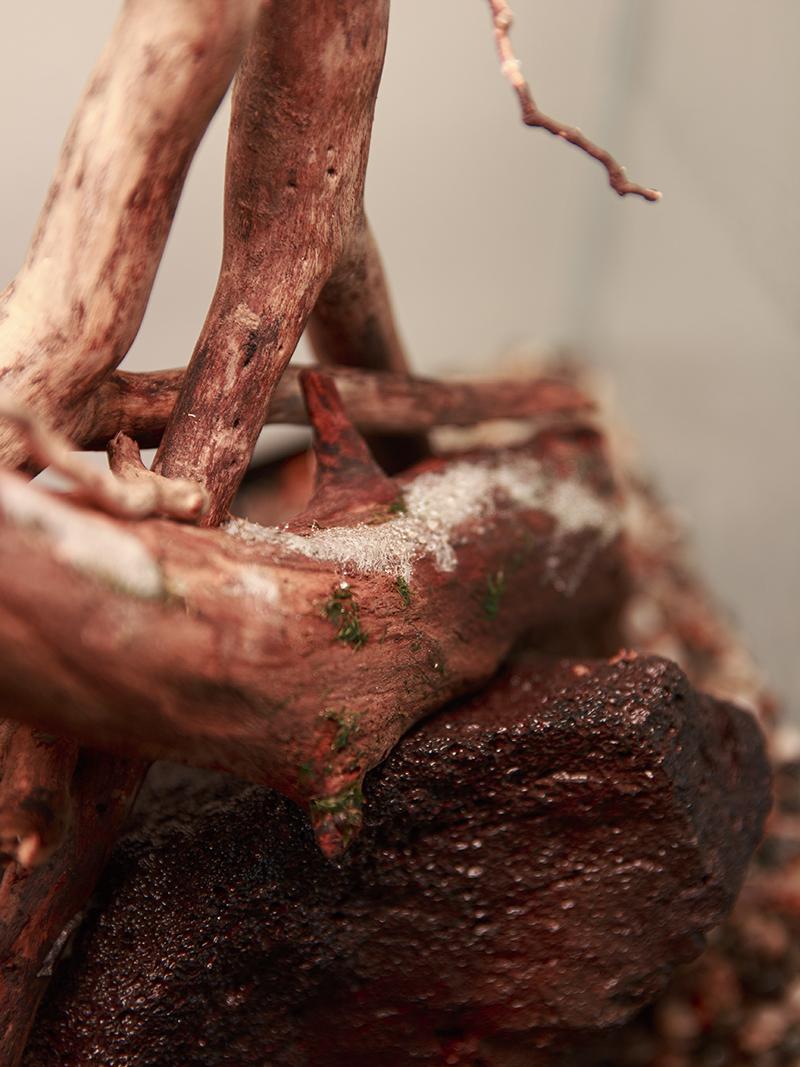 Prvi problemi s plijesni 2