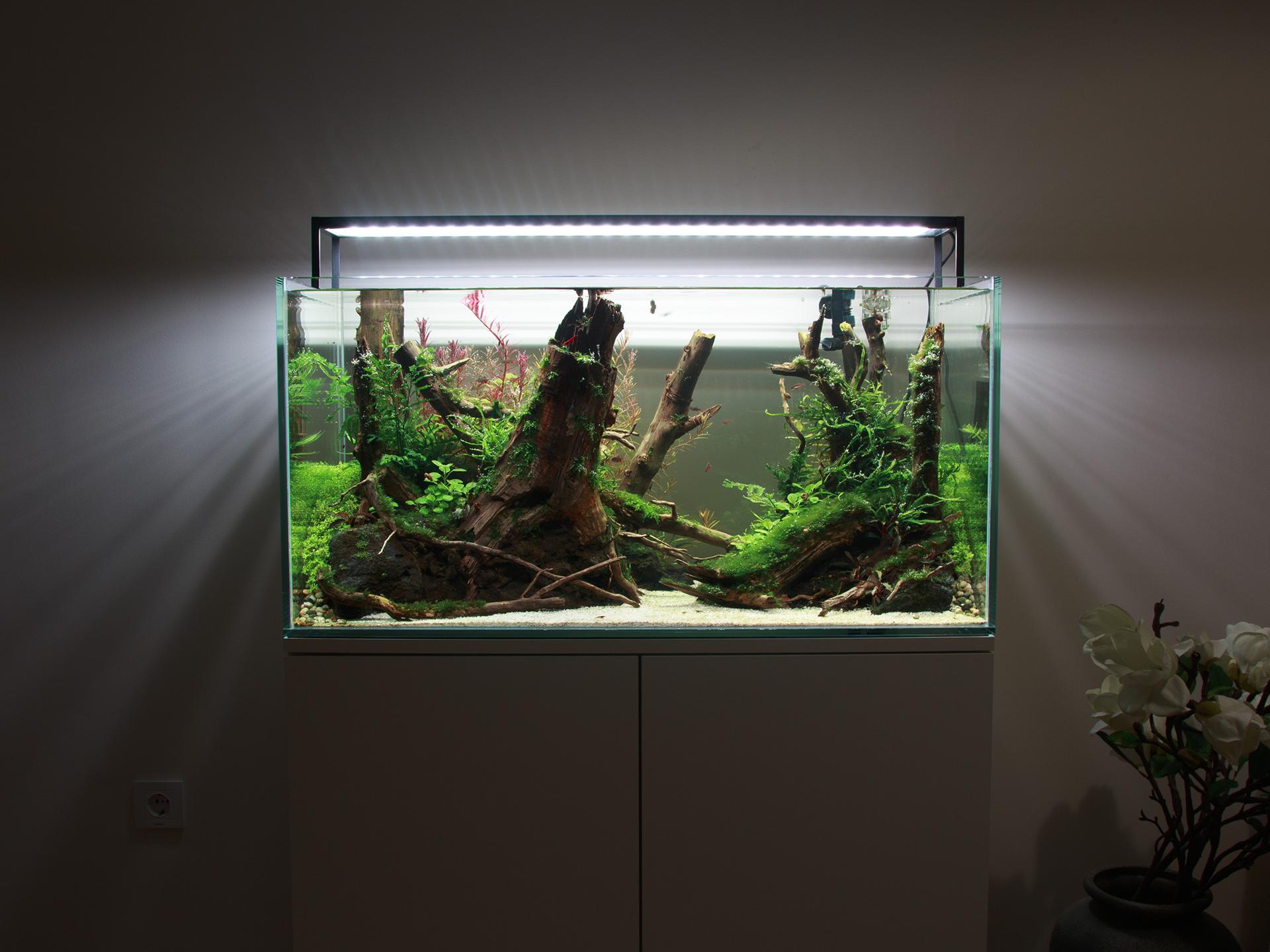 Izgubljena rijeka gallery 9